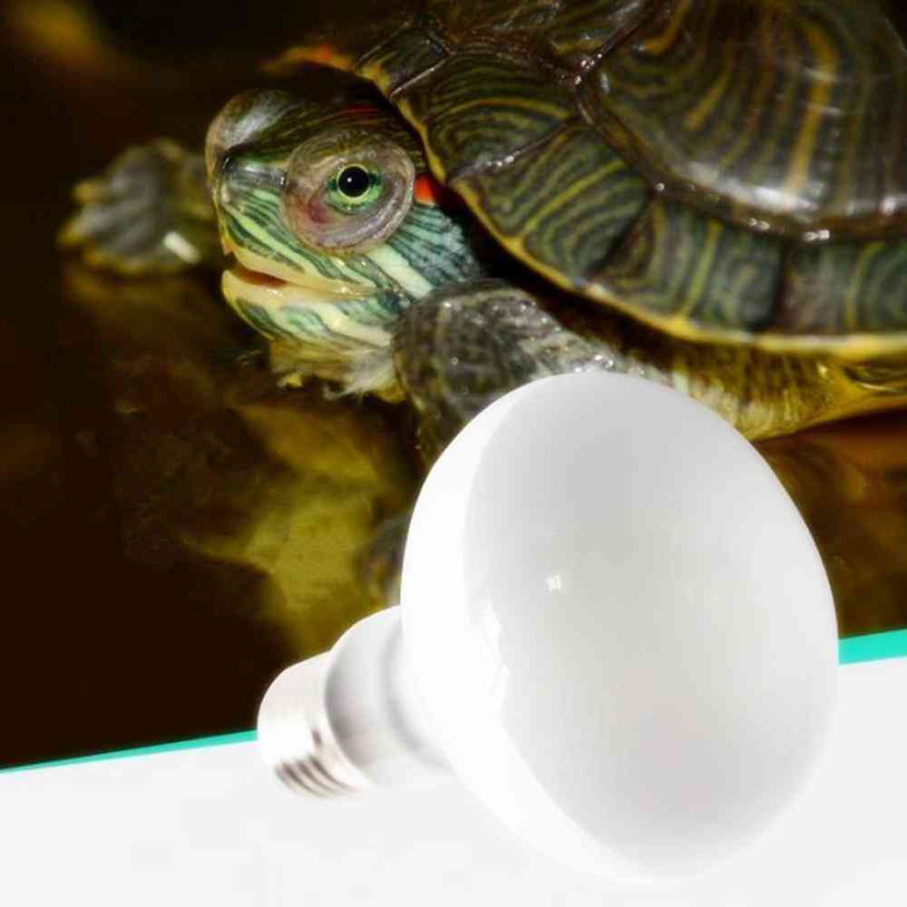 Turtle Basking Uv Light Bulbs Light Controller Lamp