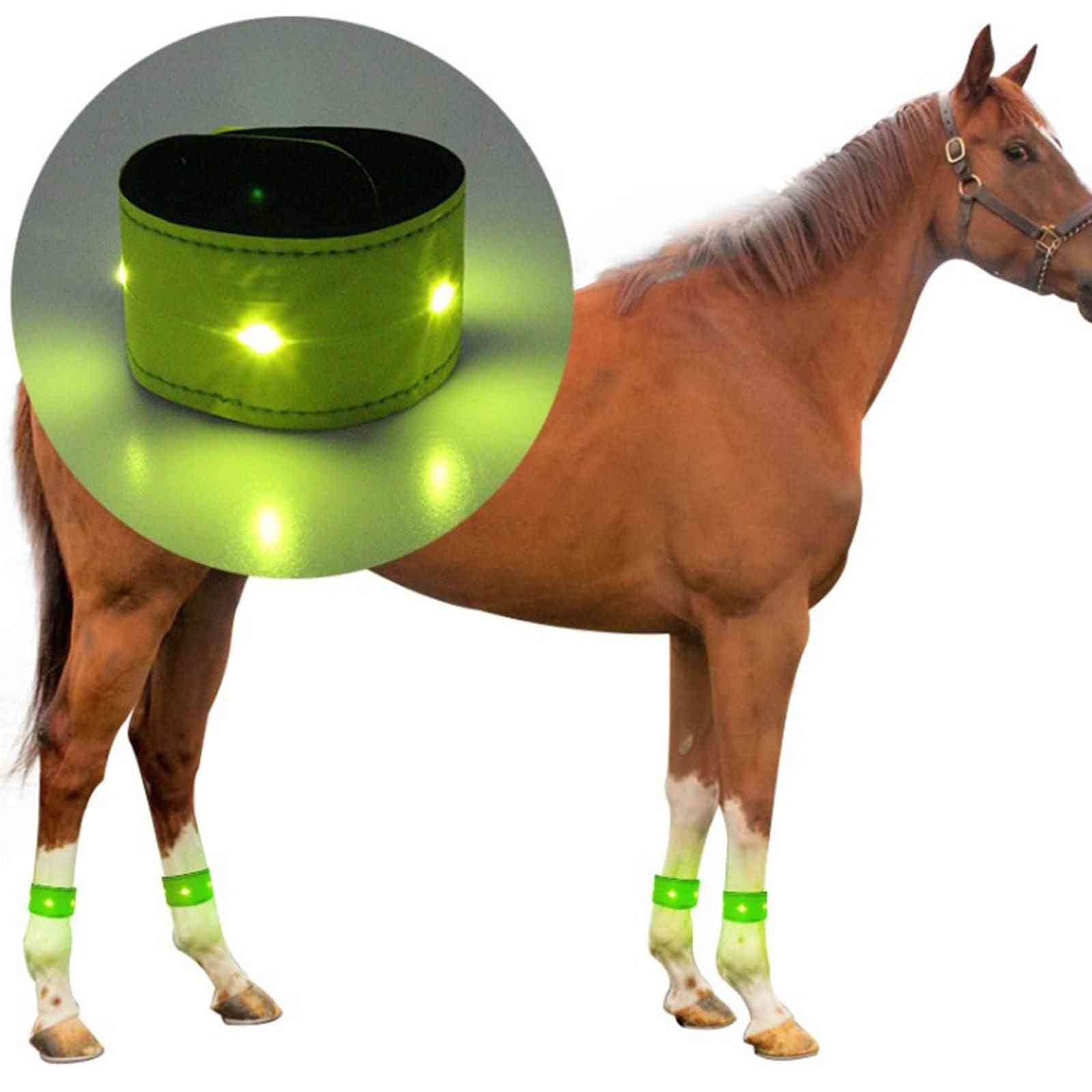 Led självlysande hästbenskyddsbälte självlysande utrustning reflekterande ben ankelrem nattvandring ridning