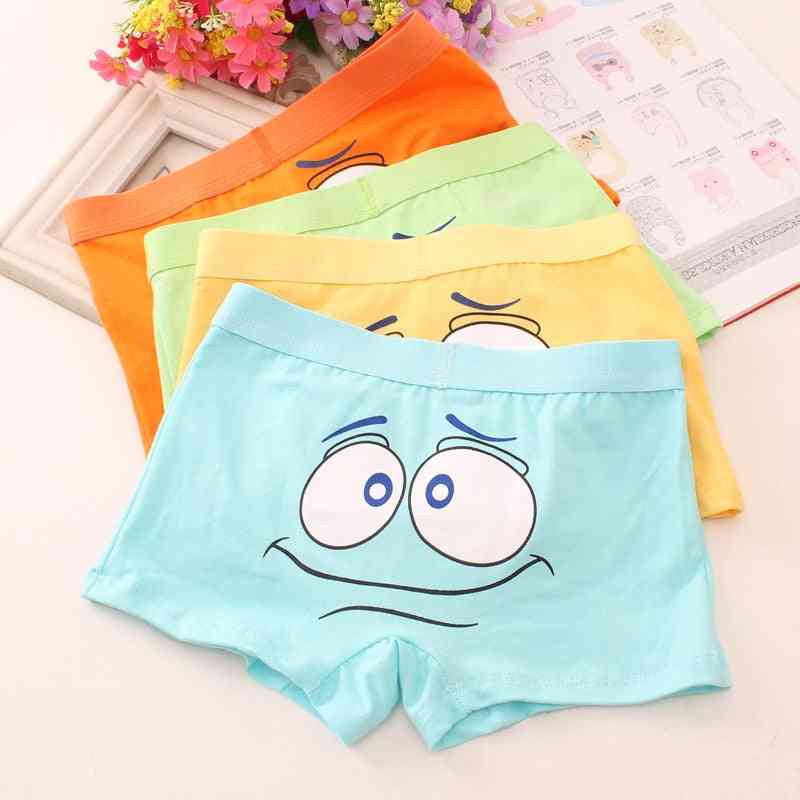 Teenagers Cotton Underpants For Boy