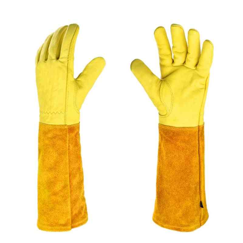 Long Sleeve Unisex Rose Pruning Gloves