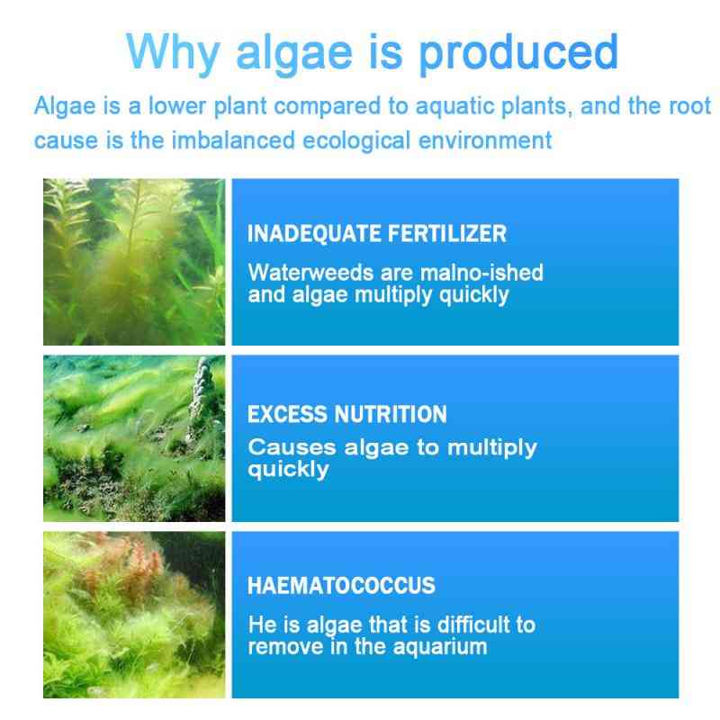 Tank Moss Remover Aquarium Algaecide Algae Repellent