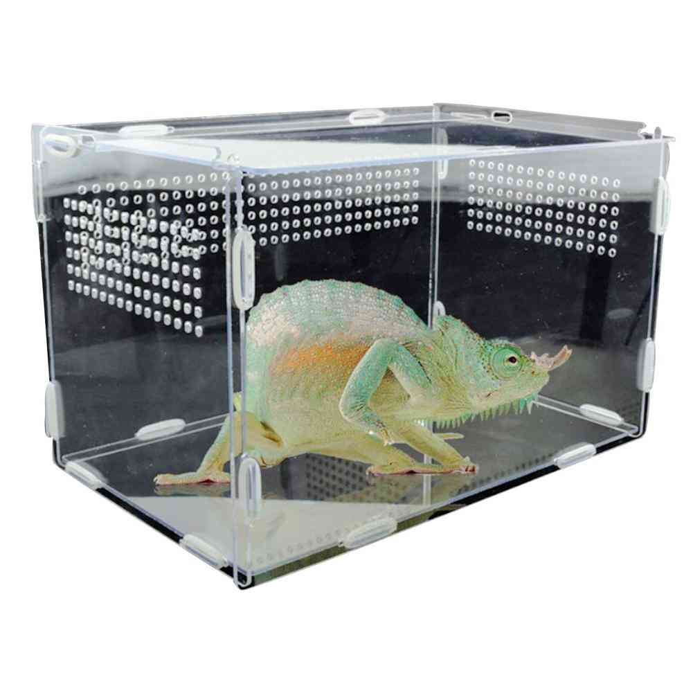 Reptile Breeding Box