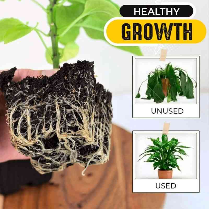 Rapid Rooting Powder - Water Soluble Strong Rooting Growth