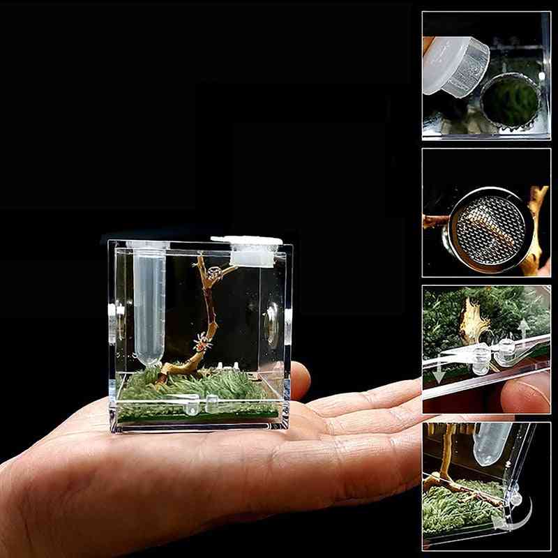 Transparent Reptile Breeding Acrylic  Assembled Eco Box