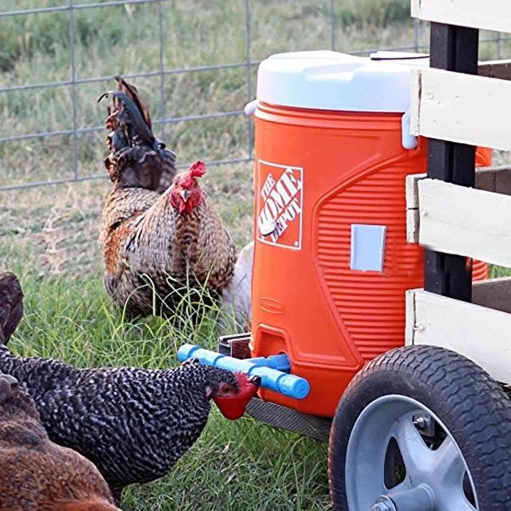 Automatic Bird  Drinking Cup Coop For Poultry Chicken