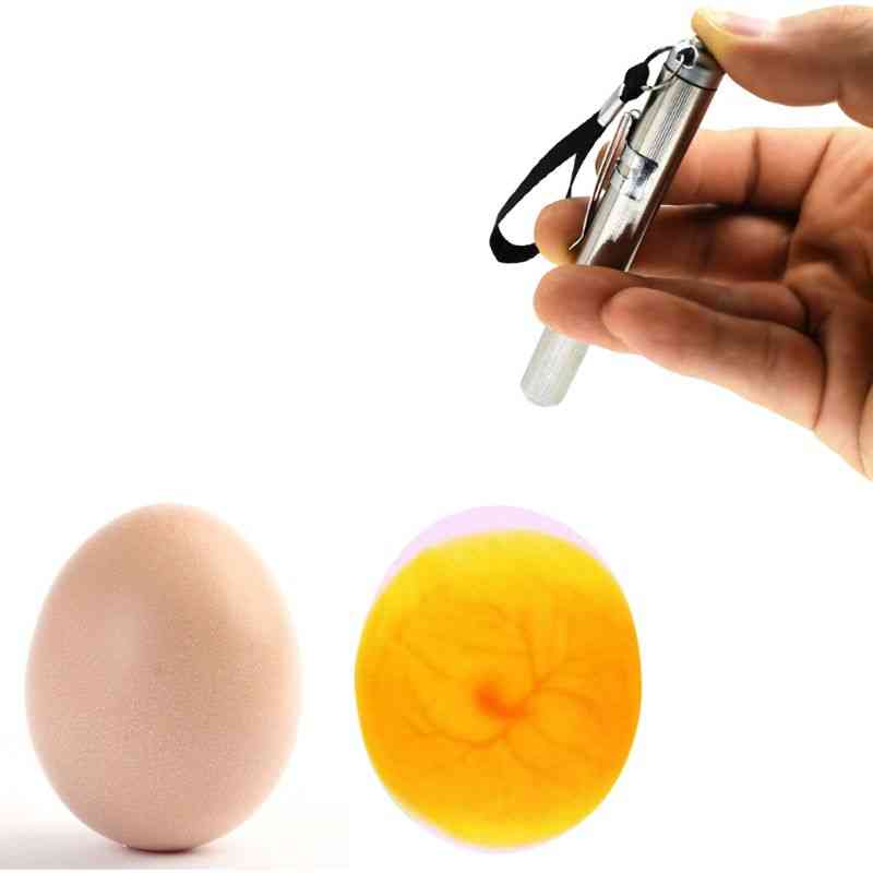 Incubator Eggtester Egg Candling Lamp