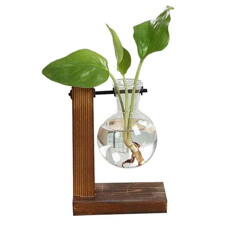 Terrarium Hydroponic Plant Vases, Vintage Flower Pot