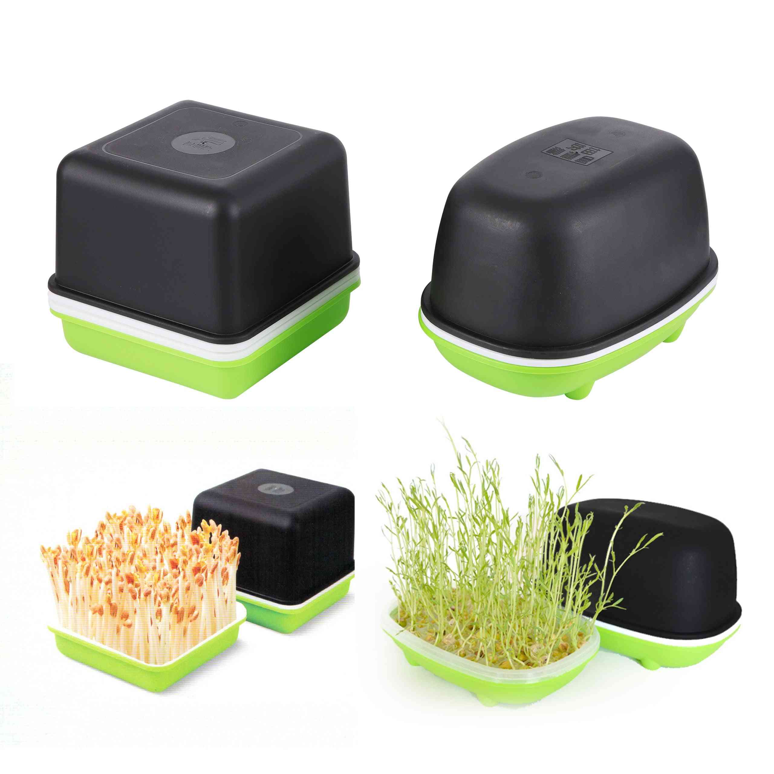 Sprout Tray Hydroponic Peanut Sprout Box