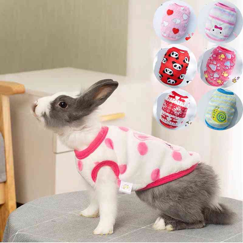 Bunny Autumn And Winter Warm Pullover Vest Rabbit Turned Into Clothing Lop-eared Rabbit Out Photo Accessories Small Pet Supplies