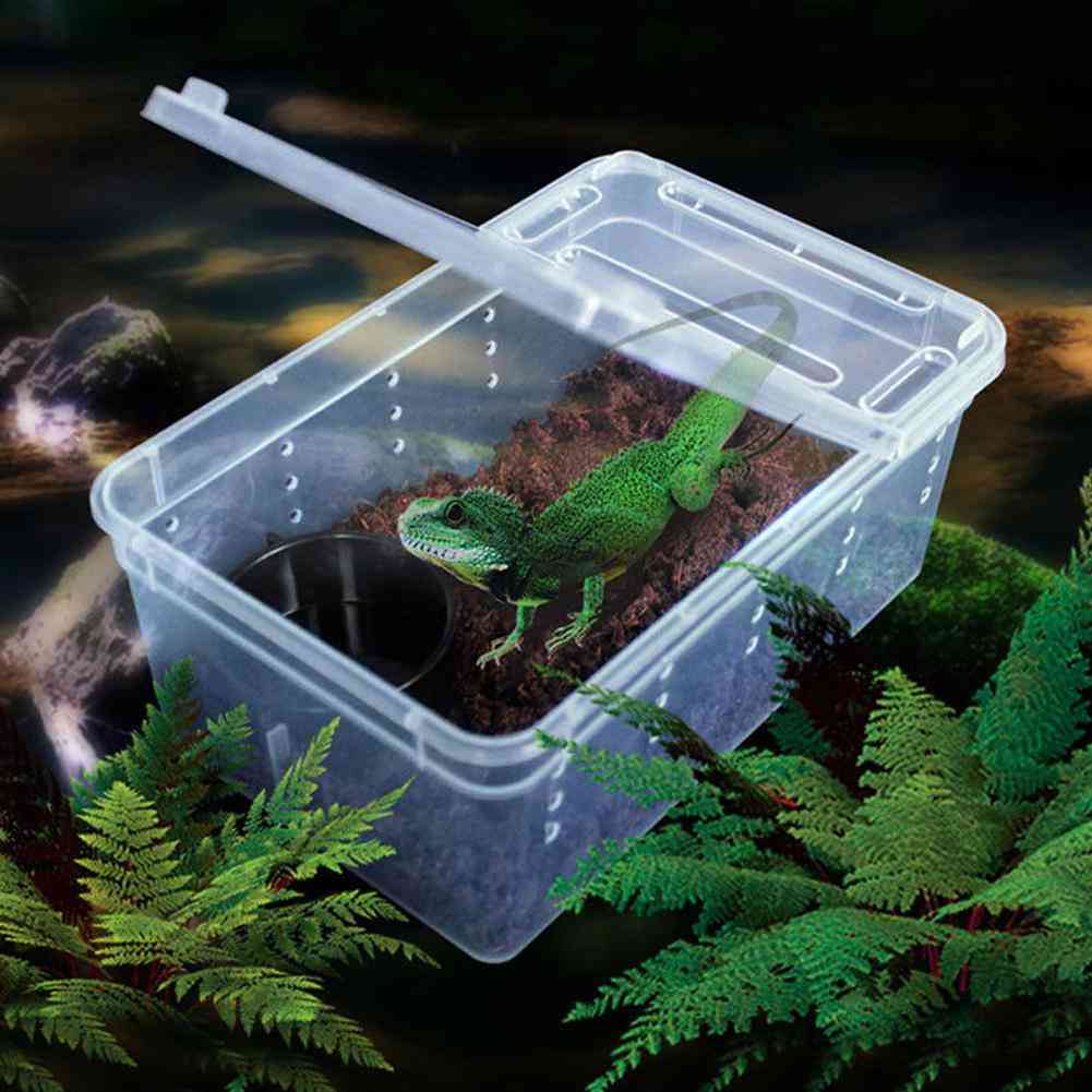 Transparent Plastic Box Insect Reptile Breeding Live Food