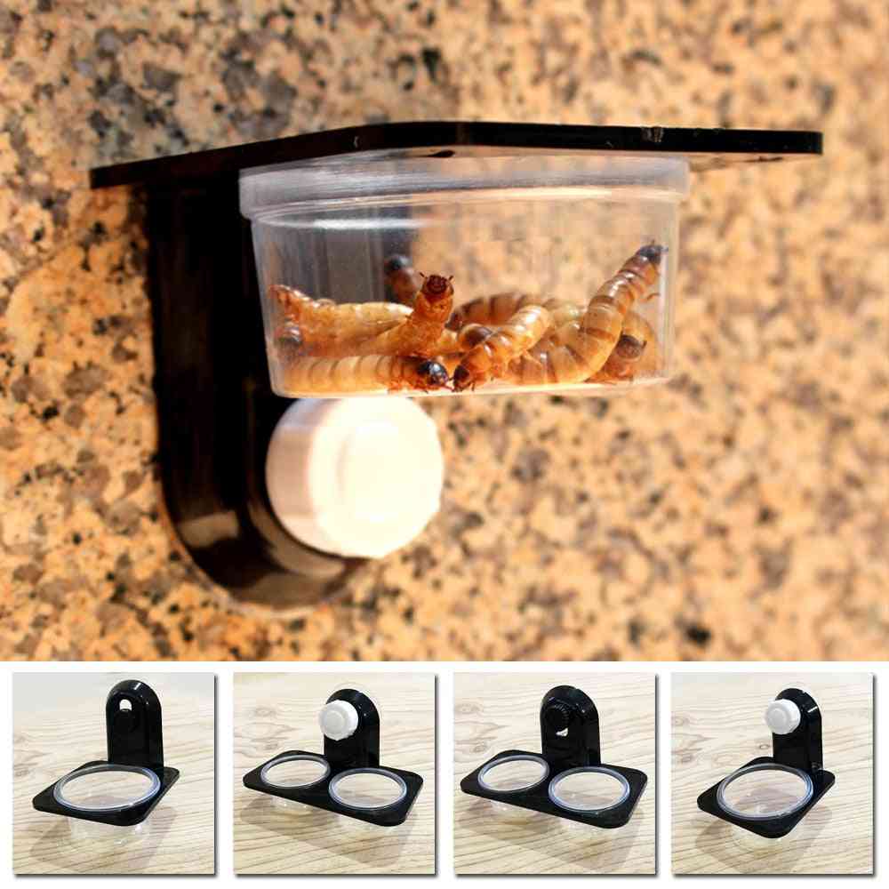 Insect Spider Ants Nest Snake Gecko Food Water Bowl